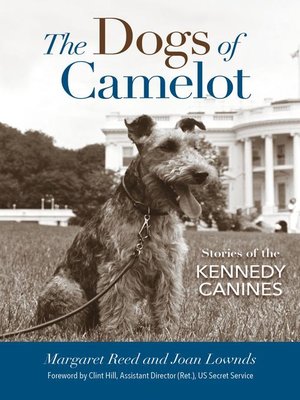 cover image of The Dogs of Camelot